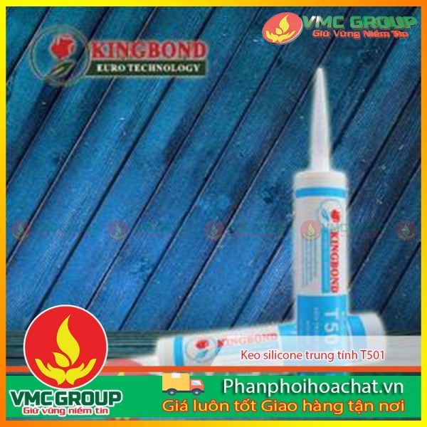 t501-keo-silicone-trung-tinh-xam