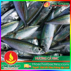 huong-ca-vmc